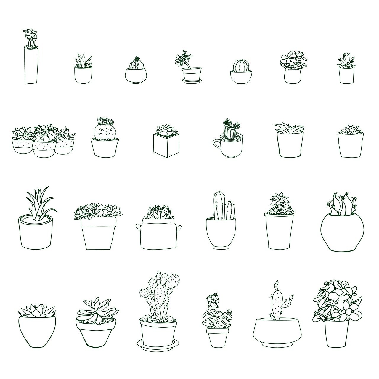 Créer un potager d’intérieur avec des récupérations de pots découvrez nos astuces et conseils pour réussir le jardinage d'intérieur et embellir votre maison avec des plantes en pleine santé toute l'année.
