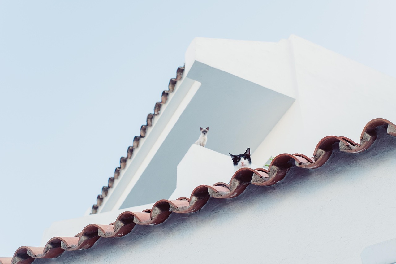 comment réussir une isolation toiture efficace et économique découvrez l'isolation de toiture pour améliorer le confort thermique et réduire vos factures d'énergie. solutions efficaces et durables adaptées à votre toit.